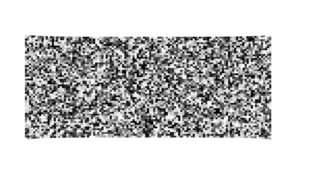 Generated mesh with random speckle pattern