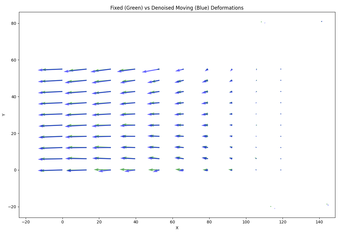 Fixed video vs. denoised moving video deformations